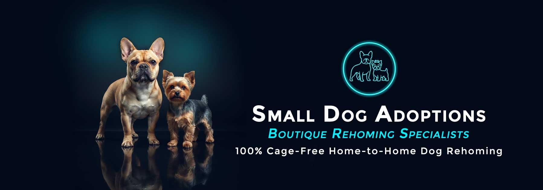 Small Dog Adoptions & Rehoming - 100% Cage-Free Dog Rehoming